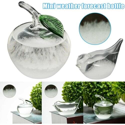 Weather Forecast Glass Water Bottle Base Christmas Table Decoration for Home Office Best Price