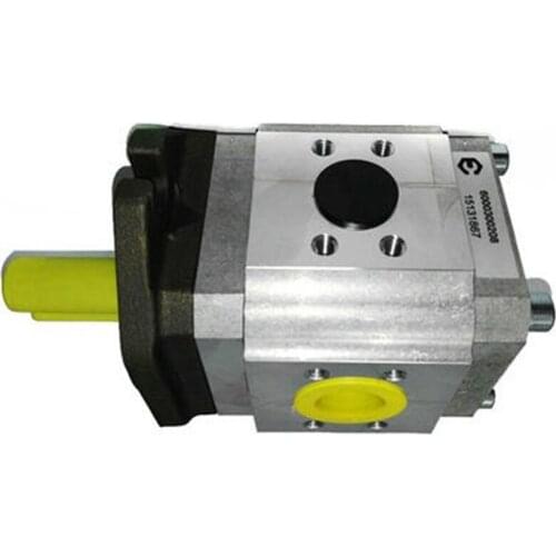 Hydraulic gear pump EIPC5-080RA23-10 ECKERLE and replacement pump