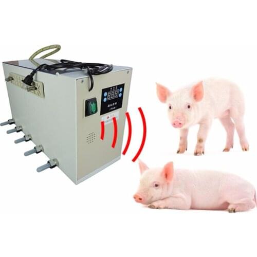 Automatic Thermostat Nursing Nipple Feeding Machine for Piglet Shoat Porkling 220v