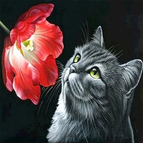 Hippeastrum and Cat Diamond Painting Round Animal Full Drill DIY Mosaic Embroidery Cross Stitch Floral Black Background Picture
