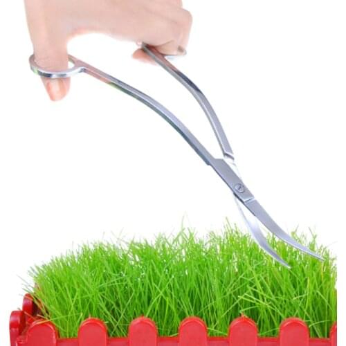 Cutting cutter seagrass sea grass Aquatic Aquarium Fish Tank water trimmer trimming Plant clipping cleaning Clipper scissor snip
