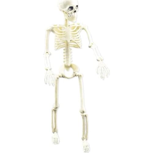 40cm Durable Simulation Humans Skeleton Movable Ornament Halloween Party Bar Haunted House Props Home Decoration Dropshipping