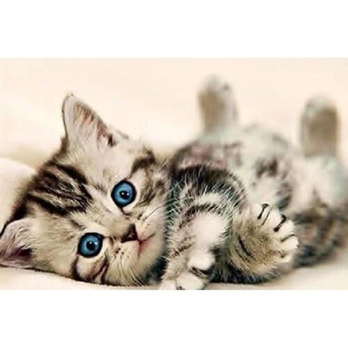 5d Diy Diamond Painting Cross Stitch Cute Kitten Diamond Embroidery Diamond Mosaic Picture Needlework KBL