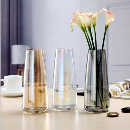 CuteLife Nordic Transparent INS Flower Glass Vase Aurora Plant Glass Terrarium Wedding Hydroponic Tabletop Vase For Flower Decor