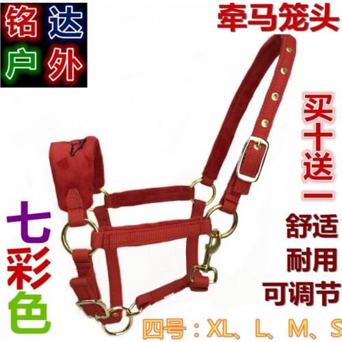 Holding Horses Rope Small Number Equipment Training Horse Horse Halter Chews Full Set Red Horse Dragon Reins