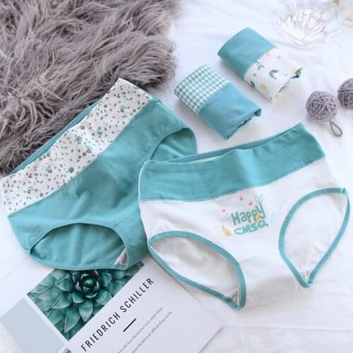 2Pcs/lot Cotton Underwear Women High Waist Panties Cotton Briefs Cueca Calcinhas Sexy Lingerie Shorts Underpants For Girls Lady