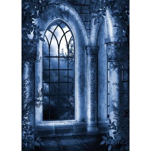 Retro Arch Window Plant Night Photo Background Vinyl Cloth Backdrop for Baby Children Halloween Photobooth Photography Props