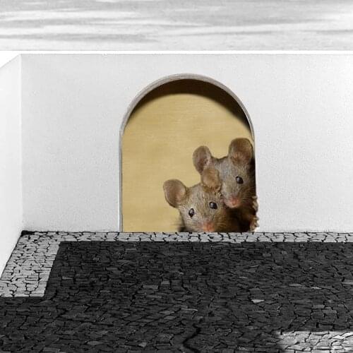 Cartoon Mouse Hole Wall Sticker Creative Household Background Decoration Wall Decal for Living Room Bedroom Kitchen Glass