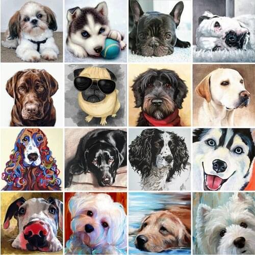 EverShine Diamond Embroidery DIY Animal Full Drill Square Diamond Painting Dog Picture Of Rhinestone Cross Stitch Handmade Hobby