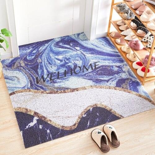 Hot Sale PVC Remove Dust Outside Door Mat Silk Loop Mat Nordic Minimalist Anti-Slip Indoor Mats Entrance Carpet Foot Pad