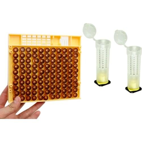 1 Set Queen Bee Rearing System Beekeeping Supplies Queen Cell Moving Queen Bee Needle For Beekeeper Essential Tools
