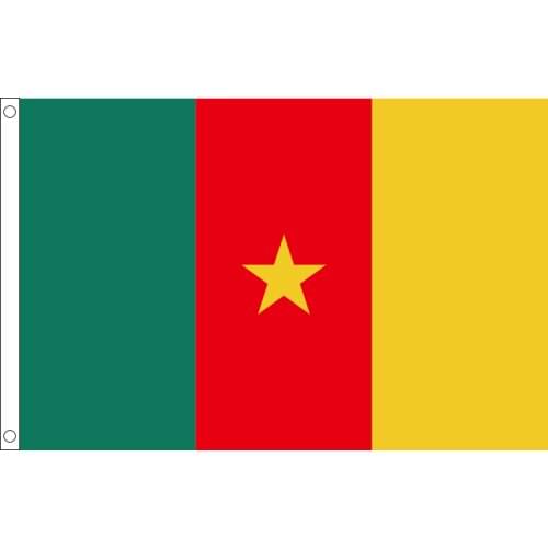 Free shipping xvggdg Cameroon flag Banner 90*150cm Hanging Cameroon National flag