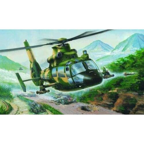 1:48 China Straight 9G Armed Helicopter Military Aircraft Assembly Model Aircraft Model