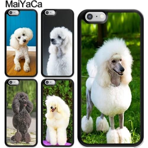 Poodle Caniche Barbone Fluffy Dog Case For iPhone 12 Mini 11 Pro MAX X XR XS MAX SE 2020 6S 7 8 Plus 5s Cover