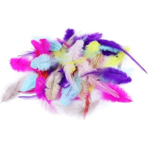 50Pcs/Pack Dyed Rooster Feather 10-15 CM/4-6 Inches Decoration for Party Wedding Clothes Sewing Jewelry Accessory Crafts Plumes