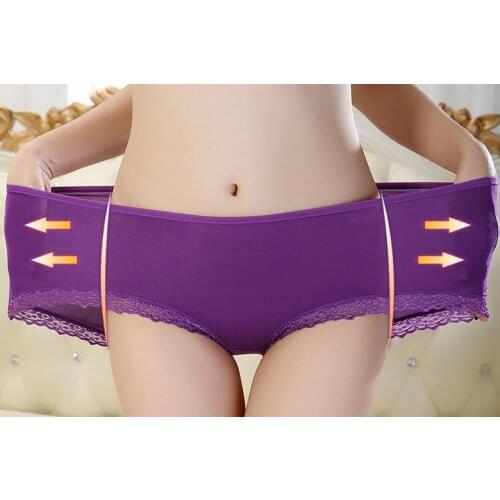 Retail Woman Underwear Womens bamboo fiber Briefs Lace Underpants Sexy Ladies Girls Panties Lingerie 2XL