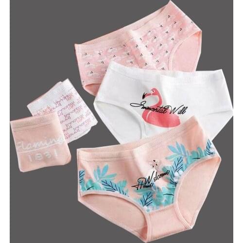 5pcs/lot flamingo girl pantiesTeenage girl underwear comfortable low-waist underpants Cartoon Pattern Baby panties Cotton briefs