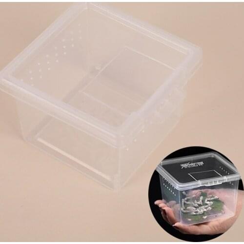 Transparent Feeding Box Reptile Cage Hatching Container Rearing Tank for Lizards Terrarium Tortoise Spider Beetle Insect House