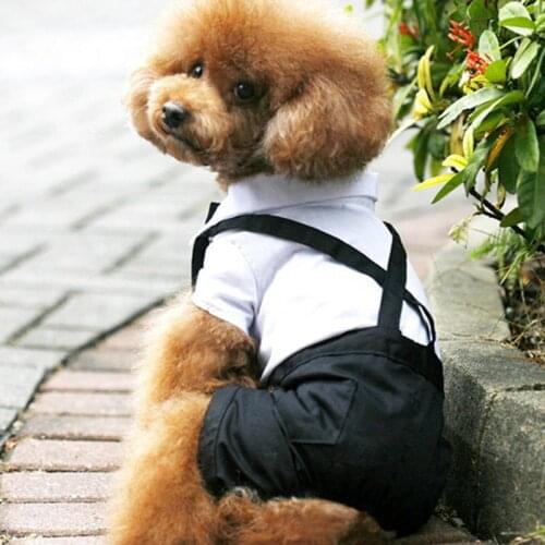 Pet Dog Fashion Western Style Soft Cotton Solid Clothes Autumn Winter Sets For Small Dogs DC770