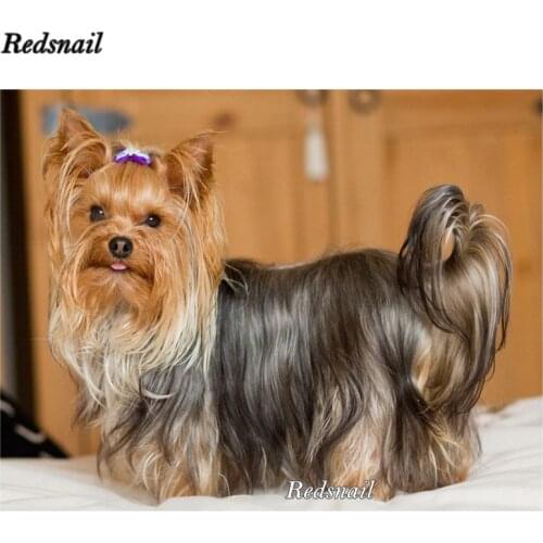 Rhinestone DIY 5D Diamond Painting Yorkshire Terrier Dog Cross Stitch Diamond Embroidery paintings 3d pictures mosaic EE355