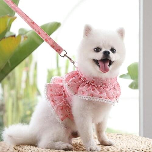 Lace Trim Collar For Girl Small Dog Vest With Walking Harness Leash No Pull Soft Mesh Padded Adjustable Puppy Dress Pet Cosutmes