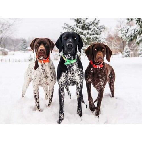 Diamond Painting Dogs Cross Stitch Full Square/Round Needlework Art 5D Diamond Embroidery Animal Mosaic Winter Home Decoration