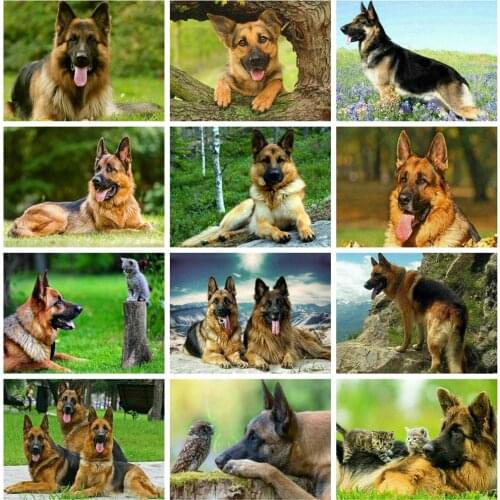 Huacan Full Square Diamond Painting Dog 5D DIY Diamond Embroidery Mosaic Animal Art Kit Decorations Home