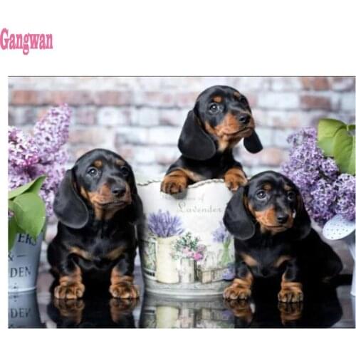 Dachshund dog Full square diy 5d diamond painting animal pet diamond mosaic cross stitch diamond embroidery animal 3d art decor