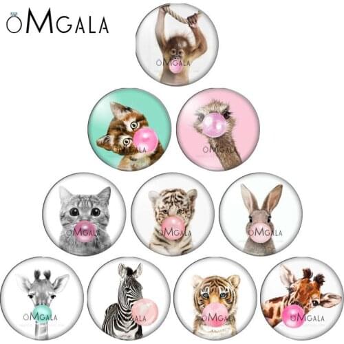 Bubble Gum Animals Cat Monkey Rabbit 10pcs mixed 12mm/18mm/20mm/25mm Round photo glass cabochon demo flat back Making findings
