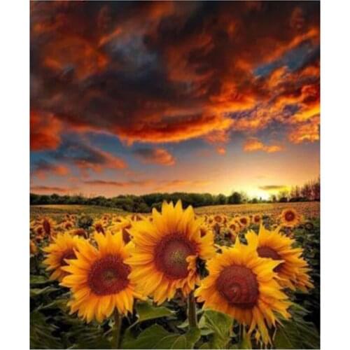 Diamond Painting 5D DIY Sunflower Sunset Landscape Full Square Round Rhinestone Embroidery Cross Stitch Mosaic Decor XN1420