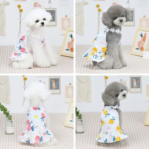 Sweet Dog Dresses for Small Dogs Chihuahua Print Dress Skirt Puppy Cat Princess Clothes T-shirt Bitch Skirt #2