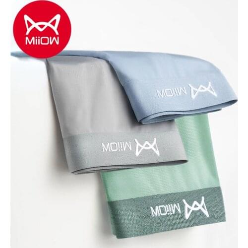 MiiOW Mens Ice Silk Unmarked Flat-angle Panties Summer Ultra-thin Breathable Antibacterial Bottoms Boys Four-corner Shorts