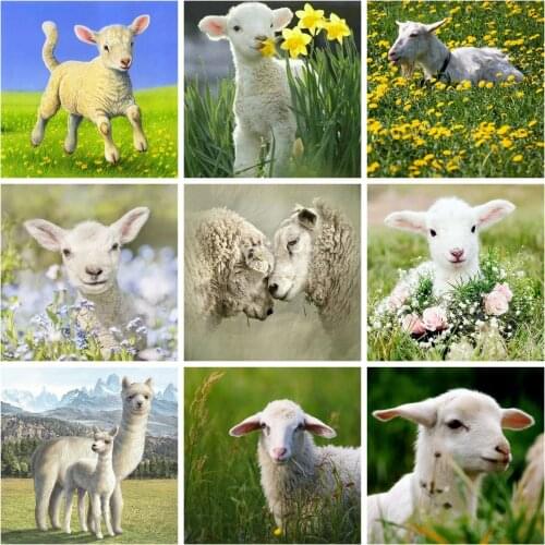 HUACAN Diamond Painting Full Animal Pictures Of Rhinestones 5D DIY Diamond Embroidery Cross Stitch Sheep Mosaic Handmade Gift