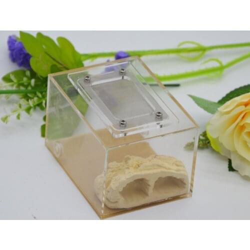 Imitation ecological ant nest DIY plaster rockery acryl pet ant castle ant farm insect ant nests villa