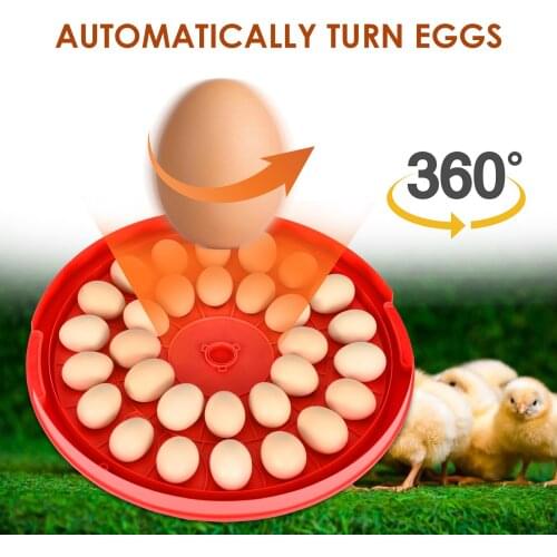 30 Digital Egg Incubator Turner With Automatic Temperature Regulation For Chickens With Egg Tray For Chicken, Ducks, EU Plug