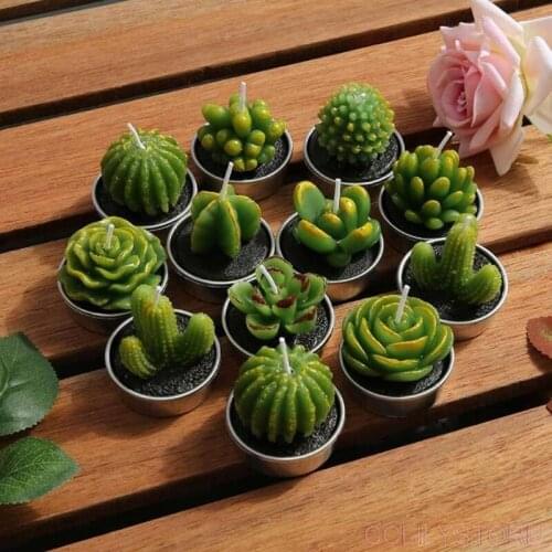 6Pcs 3D Cactus Candle Simulated Plant Set Home Decoration Candle Tea Light Decor