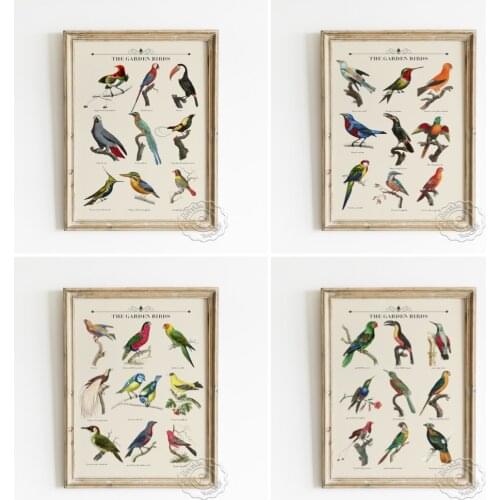 Garden Birds Exhibition Collection Wall Art Prints Poster Animal Illustration Retro Canvas Painting Home Decor Housewarming Gift