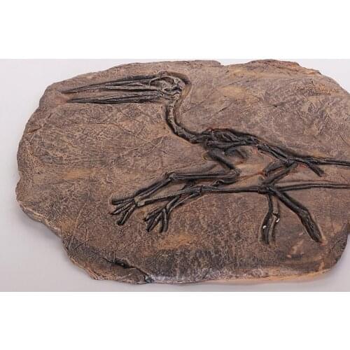 Dinosaur Skeleton Carved Resin Stone Statue Resin Jurassic Paleontology Skeleton Statue Model Coffee Shop Bar Office Decor