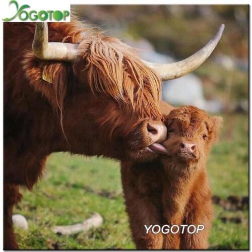 5D full square round drill cross stitch diy diamond painting highland cow family picture of rhinestone embroidery mosaic YY2547