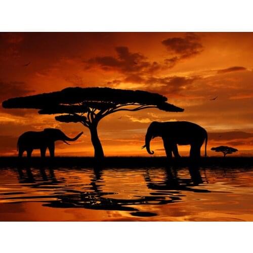 2018 Full Diamond Embroidery Elephant 5D Diy Diamond Painting Full Drill Round Diamond Mosaic Animals Home Decoration Paintings