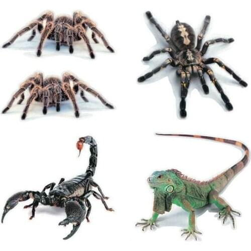 3D Spider Stickers Car Animal Exterior Sticker Creative Personality Scorpion Lizard Decal Front Bumper Trim Car Styling Auto