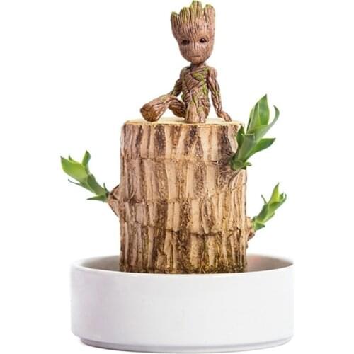 2021 Hot Potted Stump Mini Brazilian Lucky Bataan Small Ornament Wooden Hydroponic Mini Plant Indoor Office Desktop Ornament