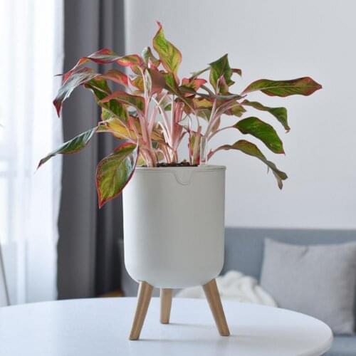 Plastic Attractive Modern Style Automatic Flower Planter Long Lasting Planter Pot Easy to Install for Home