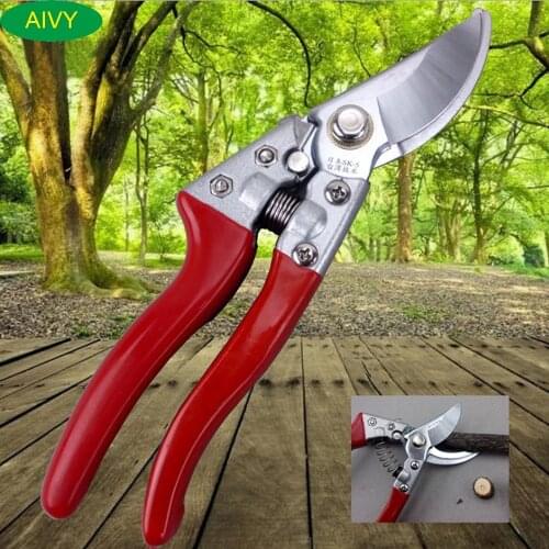 AIVY High- quality Gardening Pruning Shears, Scissors Nursery, Hand Garden Tools for Pruning Branches, Fruit Trees, Flowers