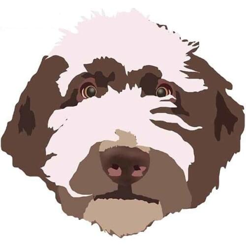 Hot 13 Cm X 12.7cm for Labradoodle Motorcycle Car Stickers Laptop Fine Decal DIY Occlusion Scratch Waterproof Decor Apply To Car