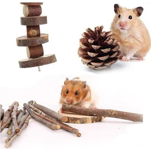 Natural 1000g Hamster Wood Chew Sticks for Rabbits Chinchillas Gerbils