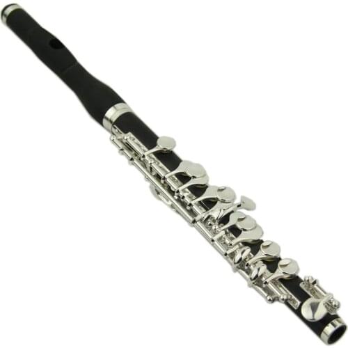 C Key Piccolo Instruments And Wood Case Cleaning Rod Student Kids Adult Gift