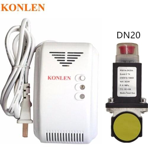 LPG Natural Gas Leak Detector Alarm With DN20 Electromagnetic Solenoid Valve for gas leakage auto shut off