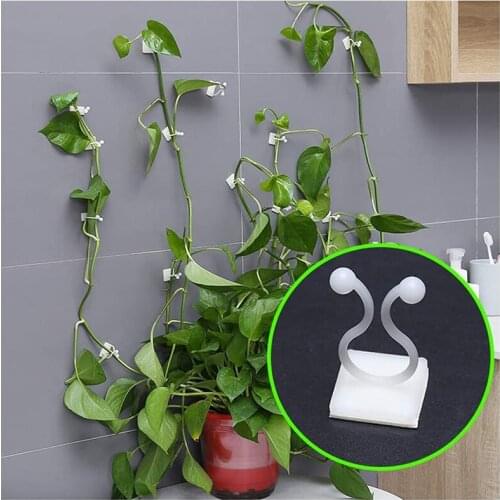 10/20/50Pcs Garden Support Accessory Invisible Wall Vines Fixture Wall Sticky Hook Vines Fixing Clip Home Indoor Drop Shipping