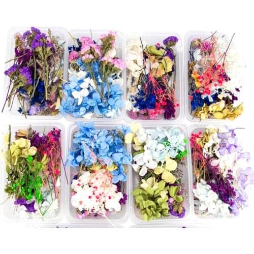 1 Box Dried Flowers UV Resin Filling Natural Pressed Flower Art Floral Decors Epoxy Resin Mold Jewelry Decorative Random Color